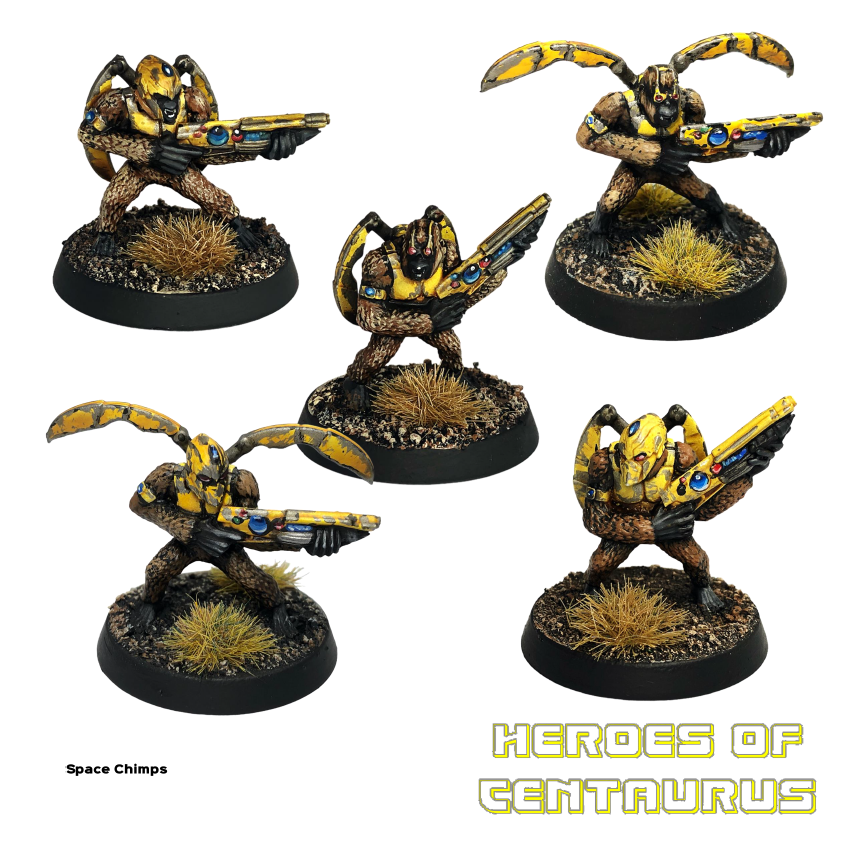 Tamarin Space Chimps