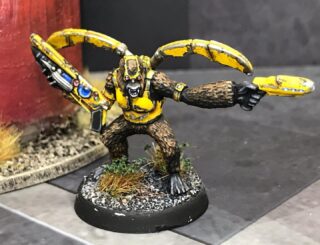 Tamarin (Space Chimp) Captain - Www.tradersgalaxy.com.au #tabletopwargaming #tabletopminiatures #wargameminiature #miniaturewargames #tabletopgames #tabletop #botwar #tradersgalaxy #wargameminiature #wargameminiatures #skirmishwargames #spacemarines40k #40k #warhammer40k #tabletopwargaming #tabletopwargames #tabletopminiatures #wargames #tabletopgaming #battletechminiatures